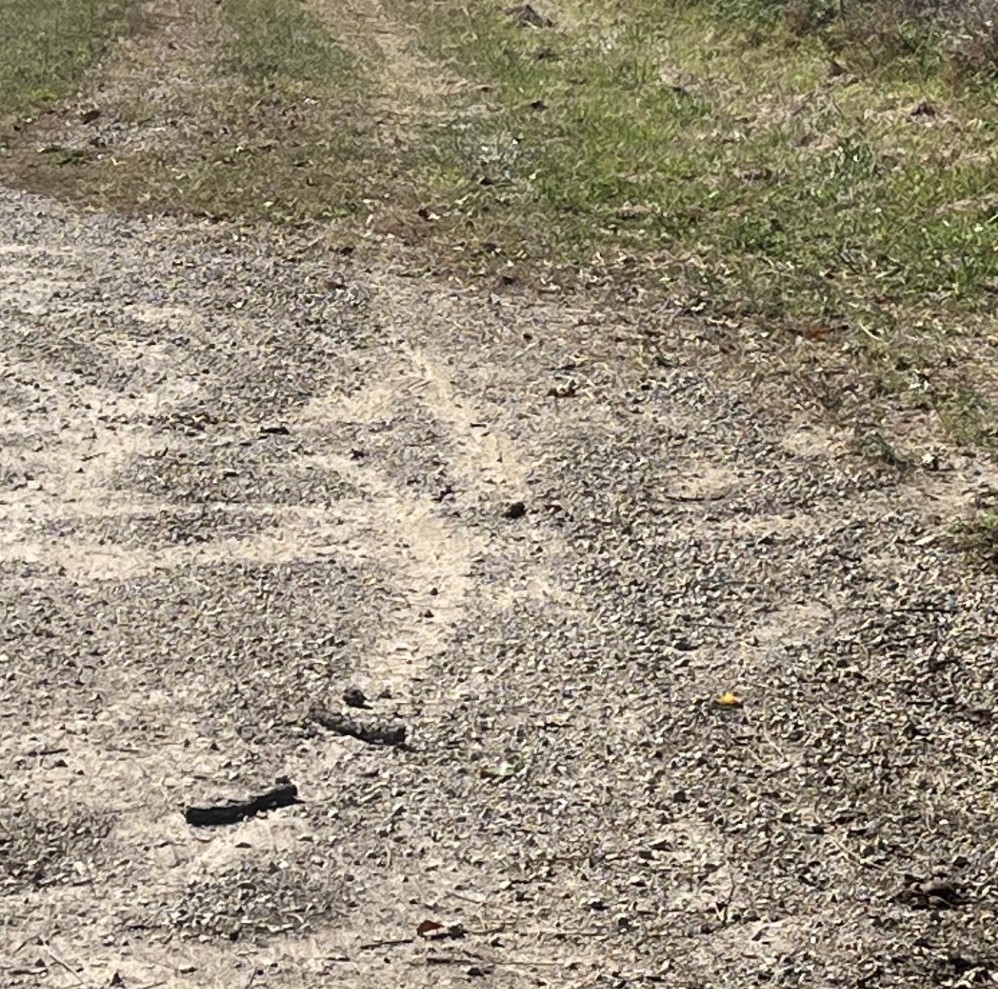 Lot 2 N Avenue Princeton, IL 61356 - Photo 3 of 7 a bathroom with a shower