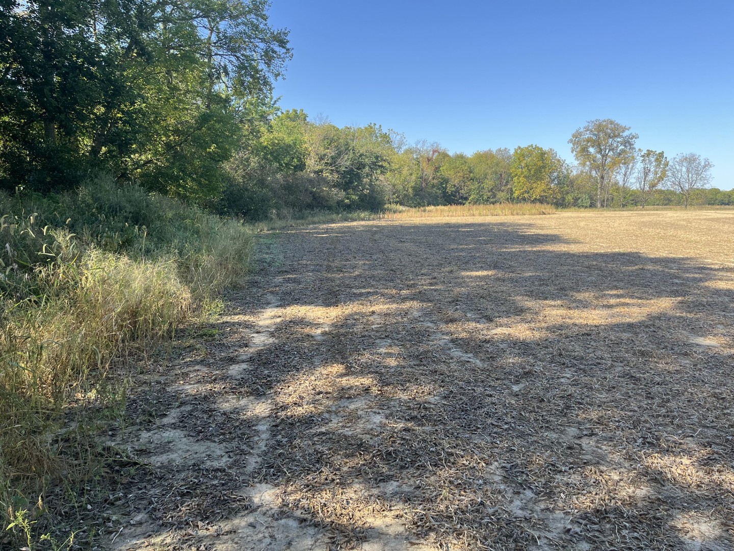 Lot 2 N Avenue Princeton, IL 61356 - Photo 4 of 7 a view of a lake from a yard