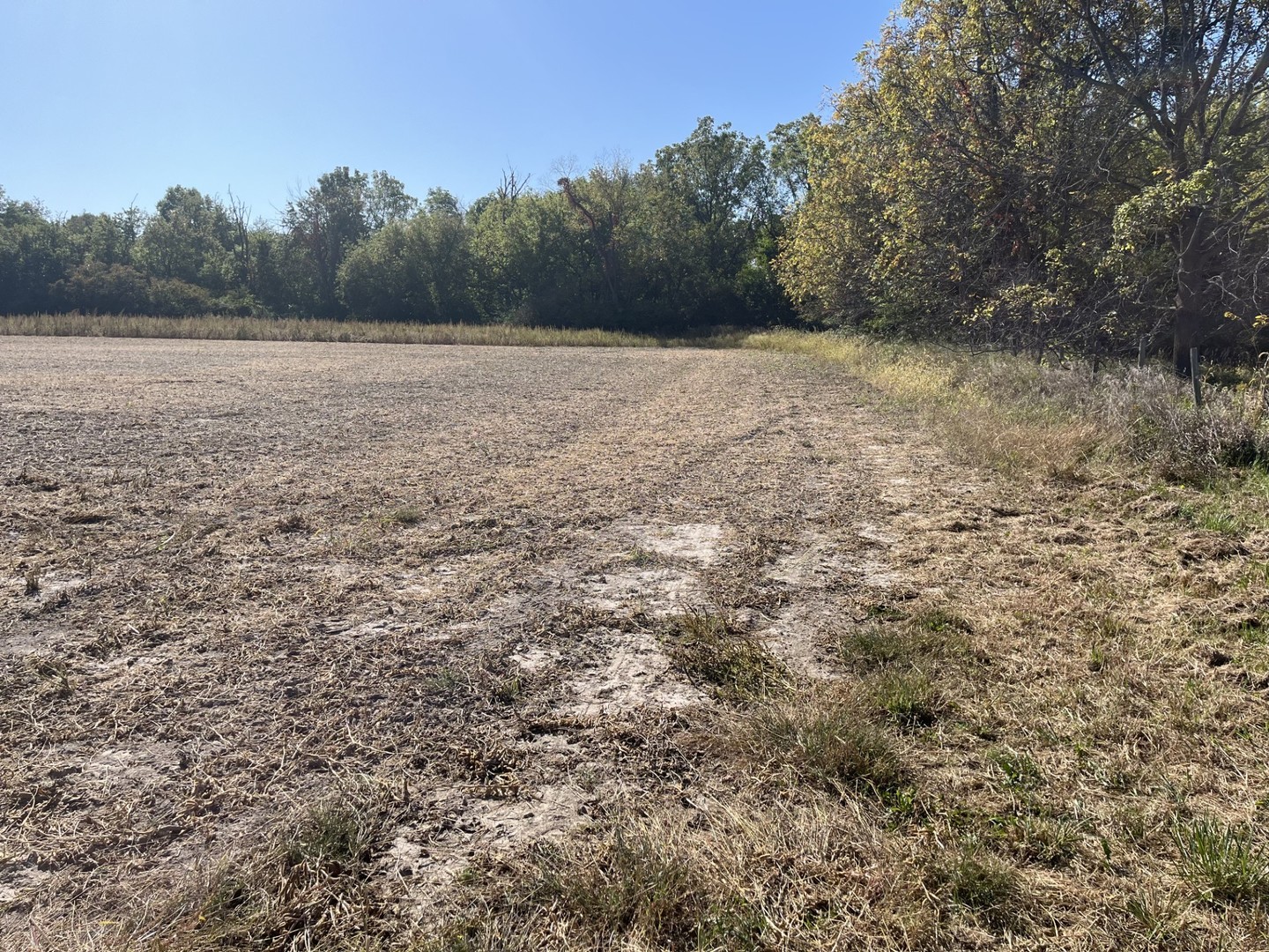 Lot 2 N Avenue Princeton, IL 61356 - Photo 6 of 7 a view of an outdoor space and a yard