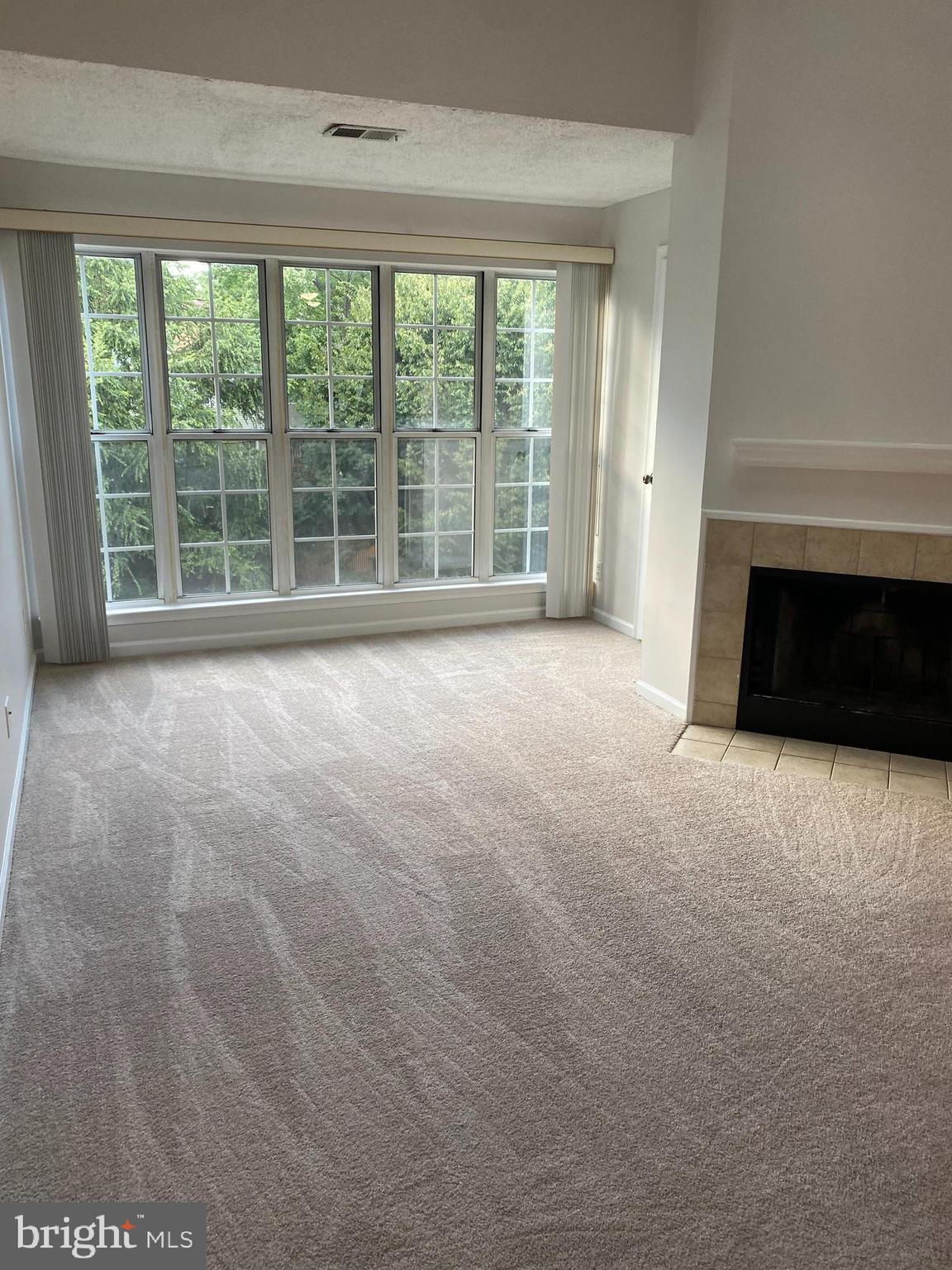 12106 Greenway Court, Unit 302 Fairfax, VA 22033 - Photo 2 of 20 a view of an empty room with a fireplace and a large window