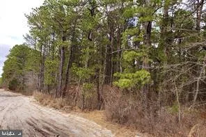 $215,600 | 0 Route 37 Toms River, Manchester Township, NJ 08759