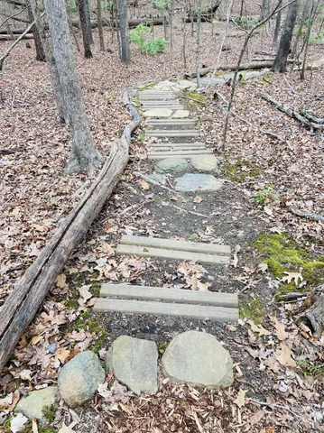 a view of outdoor space and yard