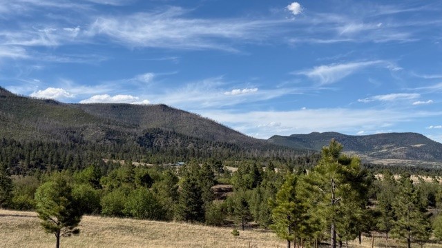 24.61-acres Los Alamitos Road Chacon, NM 87713 - Photo 10 of 12