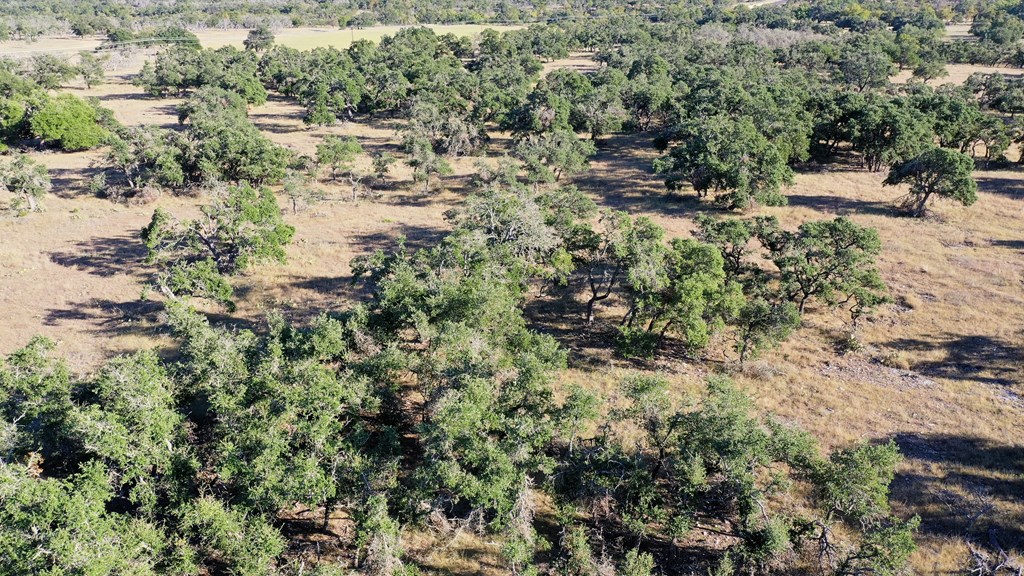 125 Stevens Ranch Road, Unit 1 Harper, TX 78631 - Photo 17 of 21 Gallery Image 17