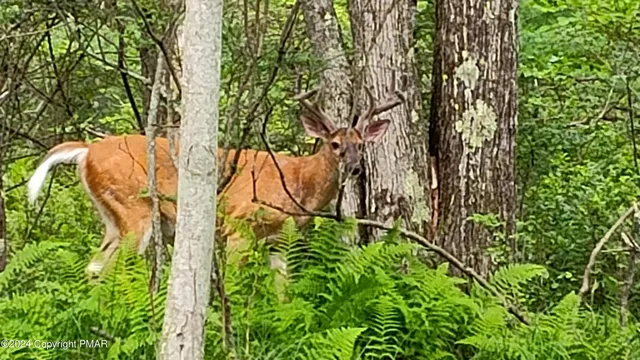 a patio with table and chairs