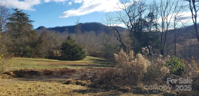 a view of a backyard of the house