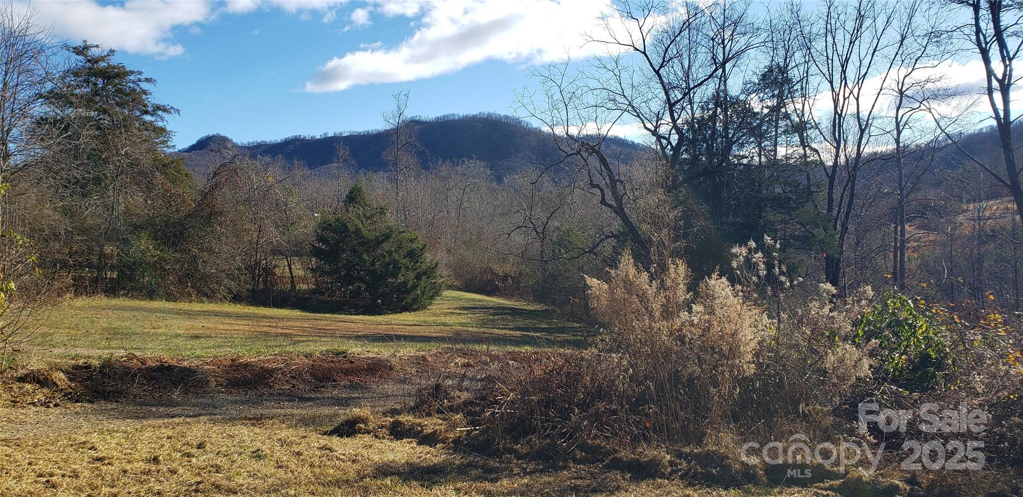 a view of a backyard of the house