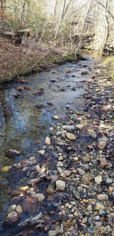 a view of empty room with floor to ceiling window