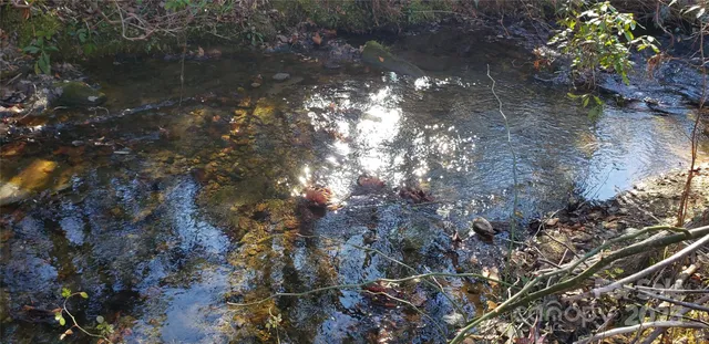 a black and white photo of a lake view