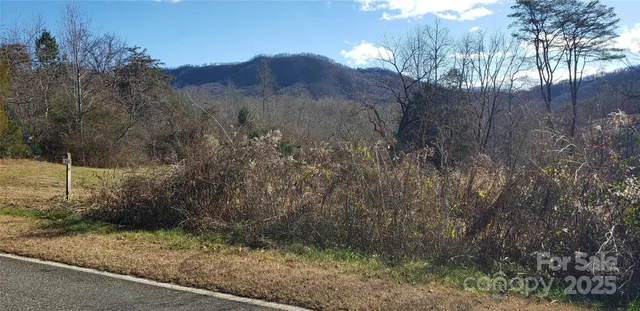 a view of a dry yard