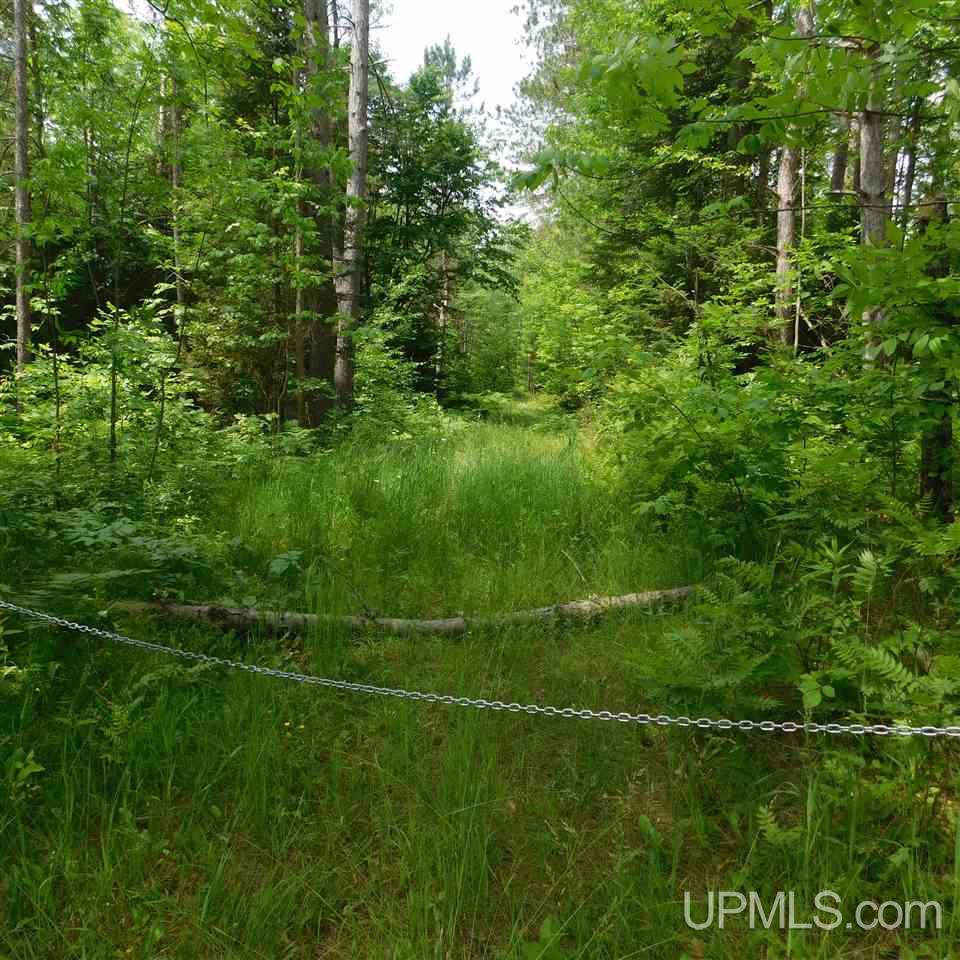 Tbd Reisner Lake Road, Unit 4 5 & 6 Long Lake, WI 54542 - Photo 5 of 9