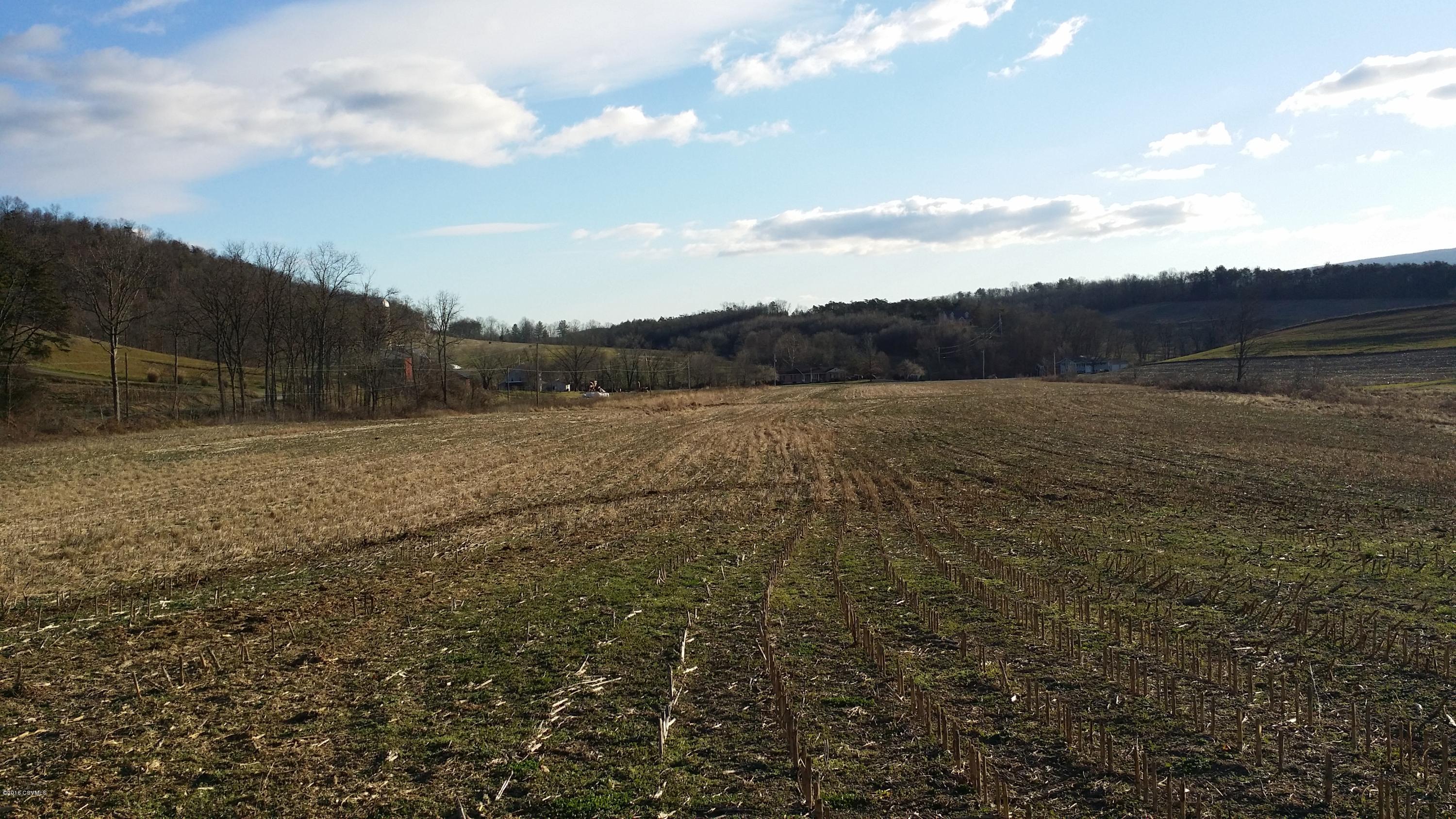 265 Bailey Hill Road Beavertown, PA 17813 - Photo 14 of 15 Gallery Image 14
