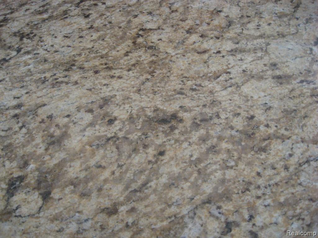 8780 Ridge Drive Washington, MI 48095 - Photo 49 of 54 IMG_2910.jpg