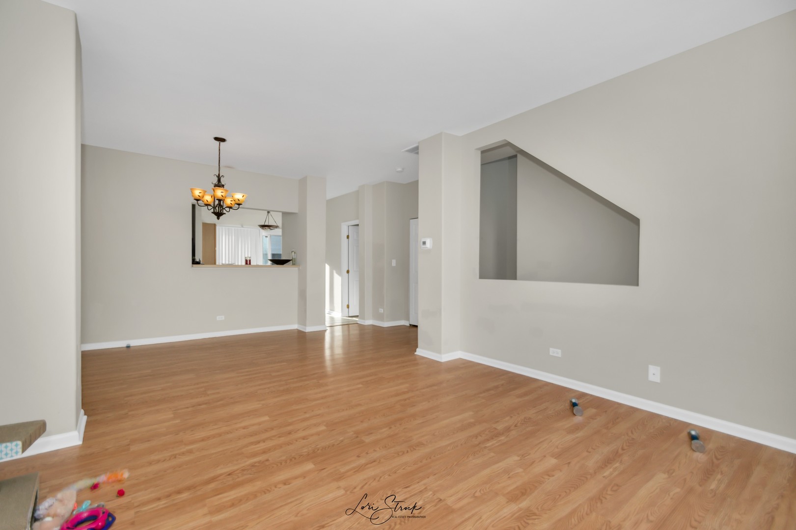 3377 Ravinia Circle Aurora, IL 60504 - Photo 3 of 10
