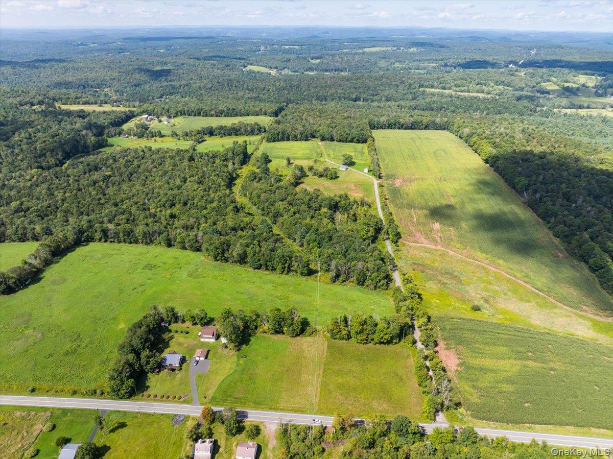 21 Hans Fischer Road Bethel, NY 12726 - Photo 43 of 50 Gallery Image 43