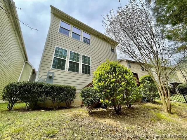 a view of a backyard with plants and large tree
