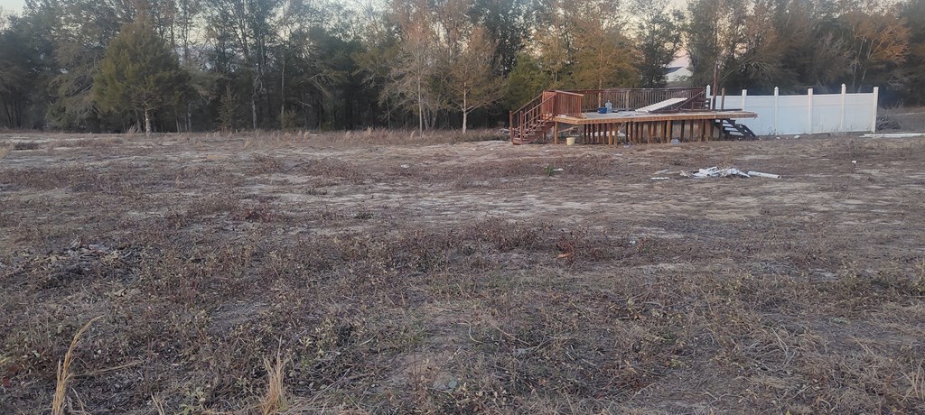 Tbd Ammons Pond Road Ozark, AL 36360 - Photo 2 of 5 Gallery Image 2