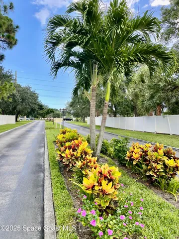 a view of a garden with flowers