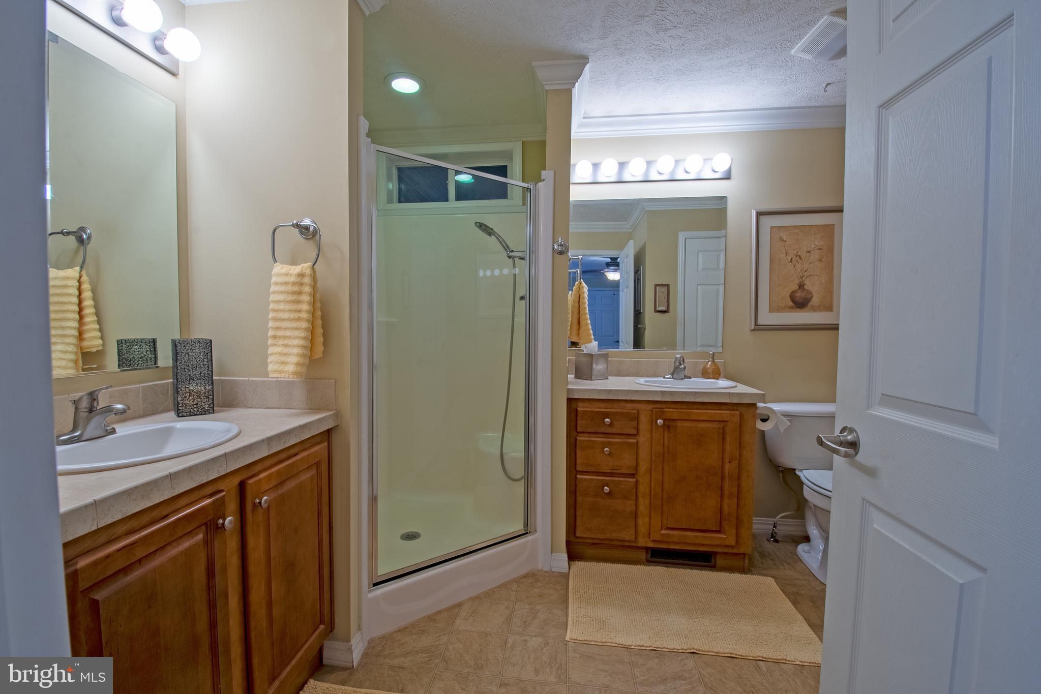 148 Bluebell Drive, Unit 75 Magnolia, DE 19962 - Photo 29 of 32 a bathroom with a sink vanity and a mirror