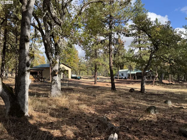 a view of road with trees