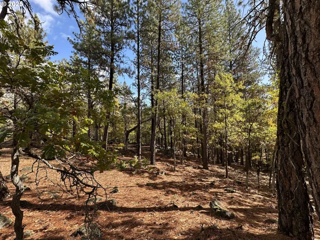 a view of outdoor space with yard