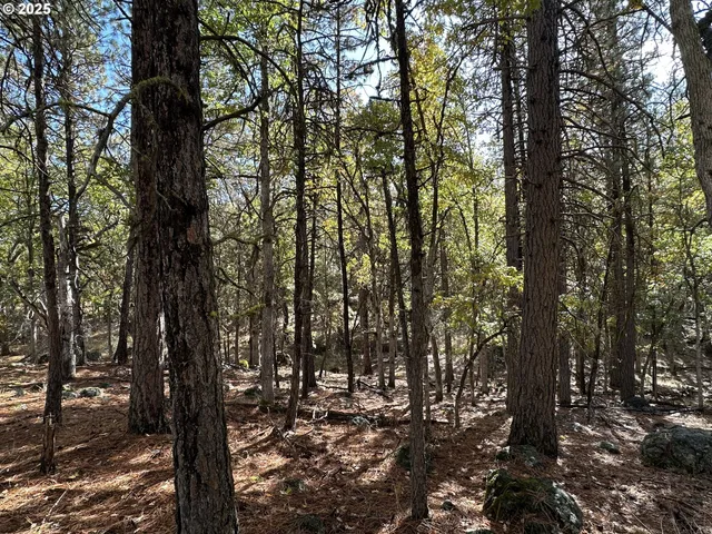 a view of outdoor space with street view