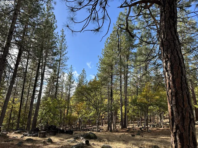 a view of outdoor space with trees