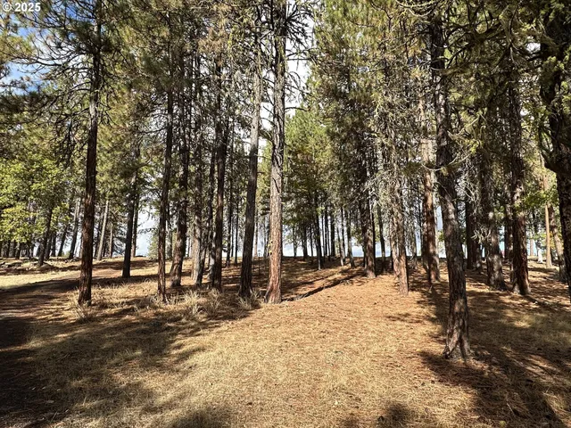 a view of road with trees