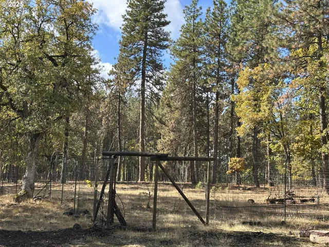 a view of outdoor space with lots of trees