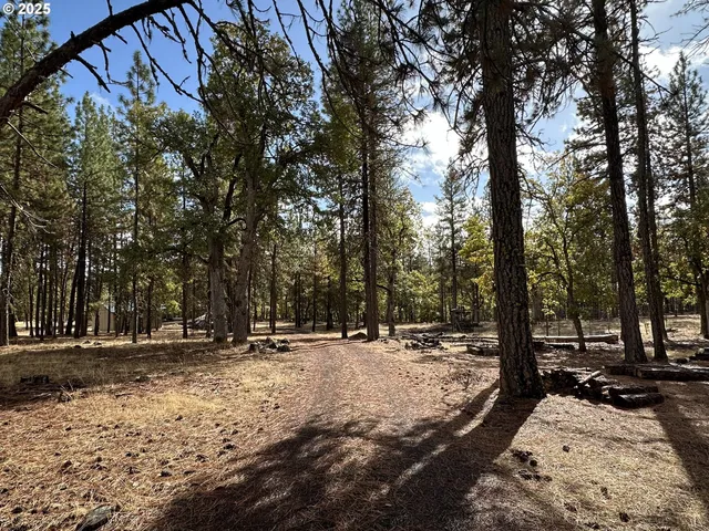 a view of front door of house