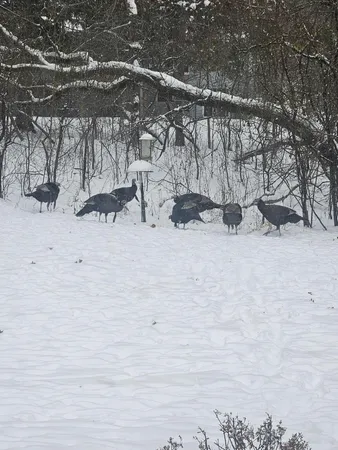 $390,000 | 12118 Bluebird Circle Northwest, Coon Rapids, MN 55448