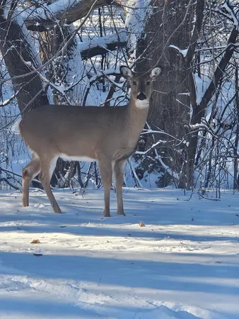 $390,000 | 12118 Bluebird Circle Northwest, Coon Rapids, MN 55448