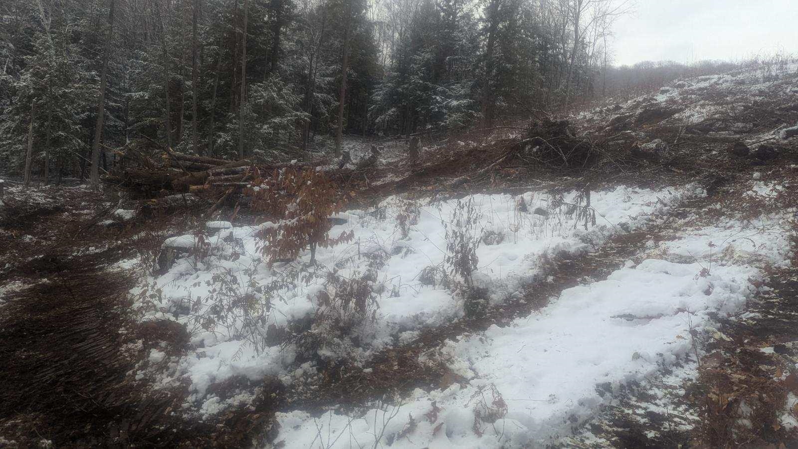 495 South Mendon Road Mendon, VT 05701 - Photo 4 of 9