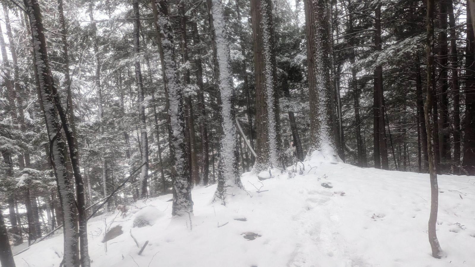 495 South Mendon Road Mendon, VT 05701 - Photo 6 of 9