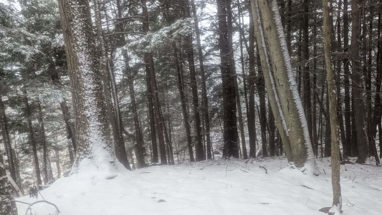 495 South Mendon Road Mendon, VT 05701 - Photo 7 of 9