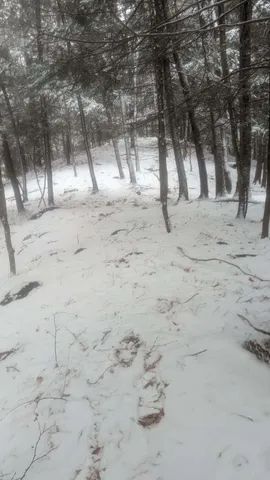 $139,900 | 495 South Mendon Road, Mendon, VT 05701