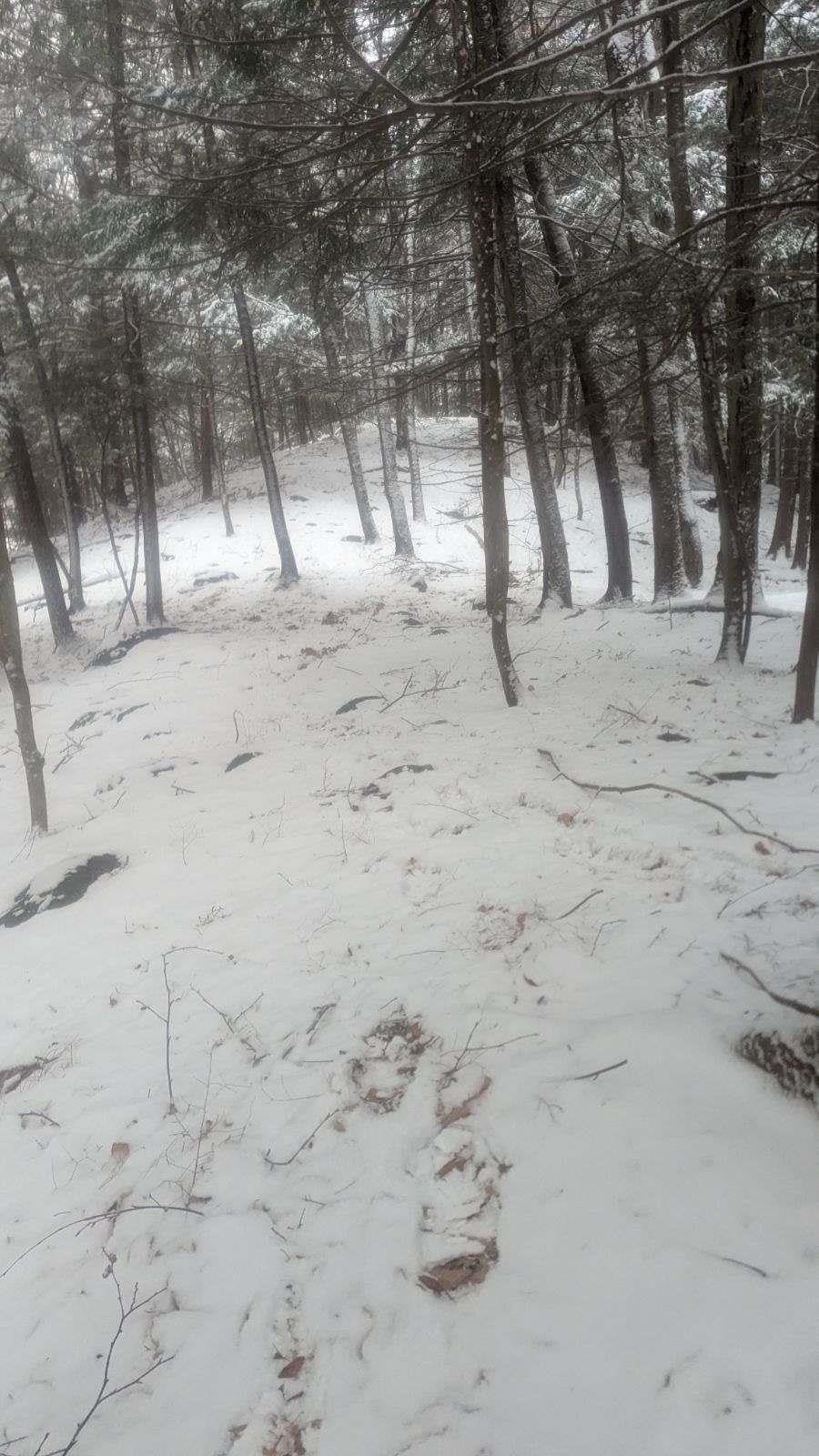 495 South Mendon Road Mendon, VT 05701 - Photo 8 of 9