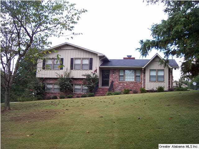 1 Greenbrier Lane Springville, AL 35146 - Photo 1 of 24