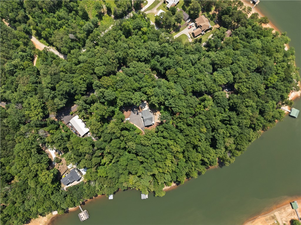 332 Two Rivers Drive Westminster, SC 29693 - Photo 20 of 50 almost 4 acres of land on the lake!! And with Deep Water!!
