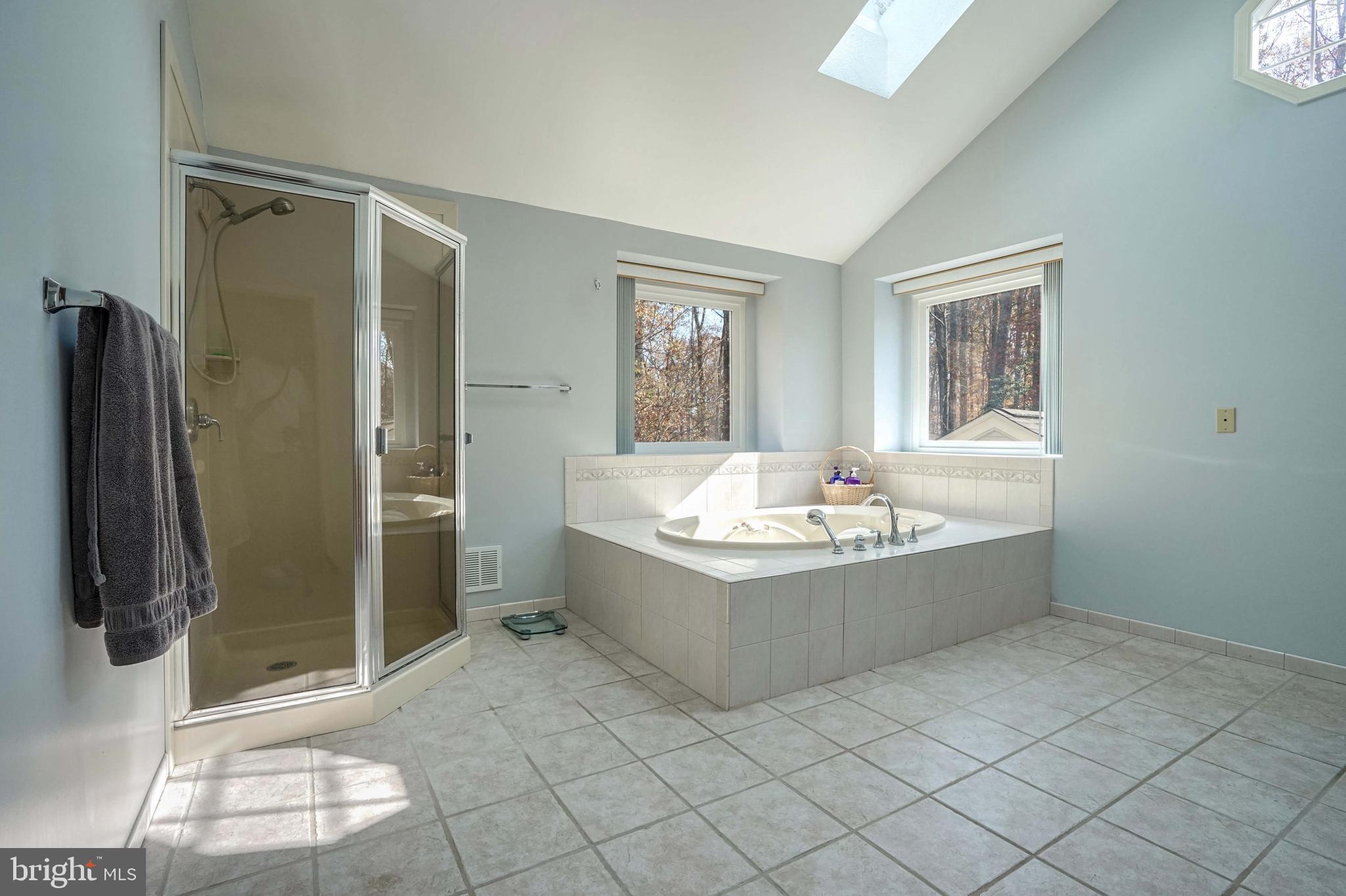 12388 Henderson Road Clifton, VA 20124 - Photo 28 of 47 Master Bath Ensuite
Shower & Soaking Tub