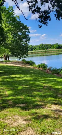 a view of a back yard of the house