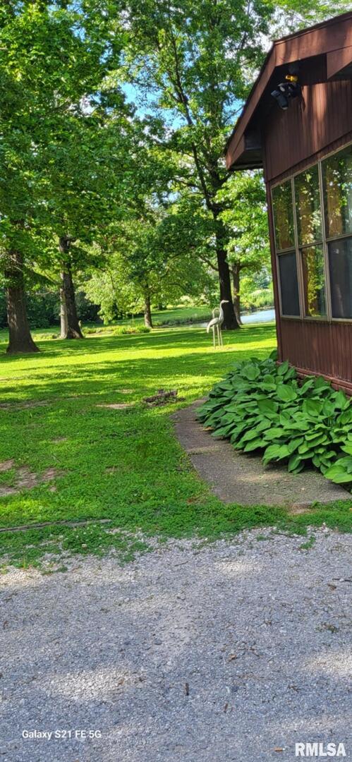 14854 Sesser Lake Road Sesser, IL 62884 - Photo 27 of 44 a view of a yard with a tree