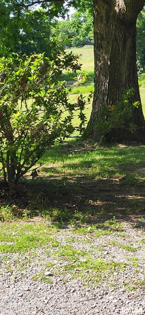 14854 Sesser Lake Road Sesser, IL 62884 - Photo 36 of 44 a view of a yard
