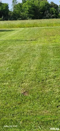 a view of a yard