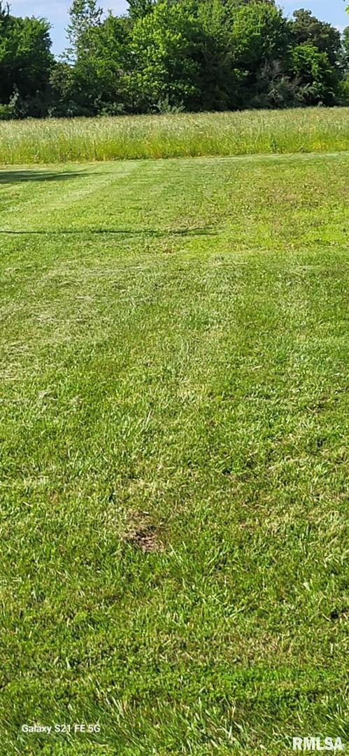 14854 Sesser Lake Road Sesser, IL 62884 - Photo 38 of 44 a view of a field with a yard