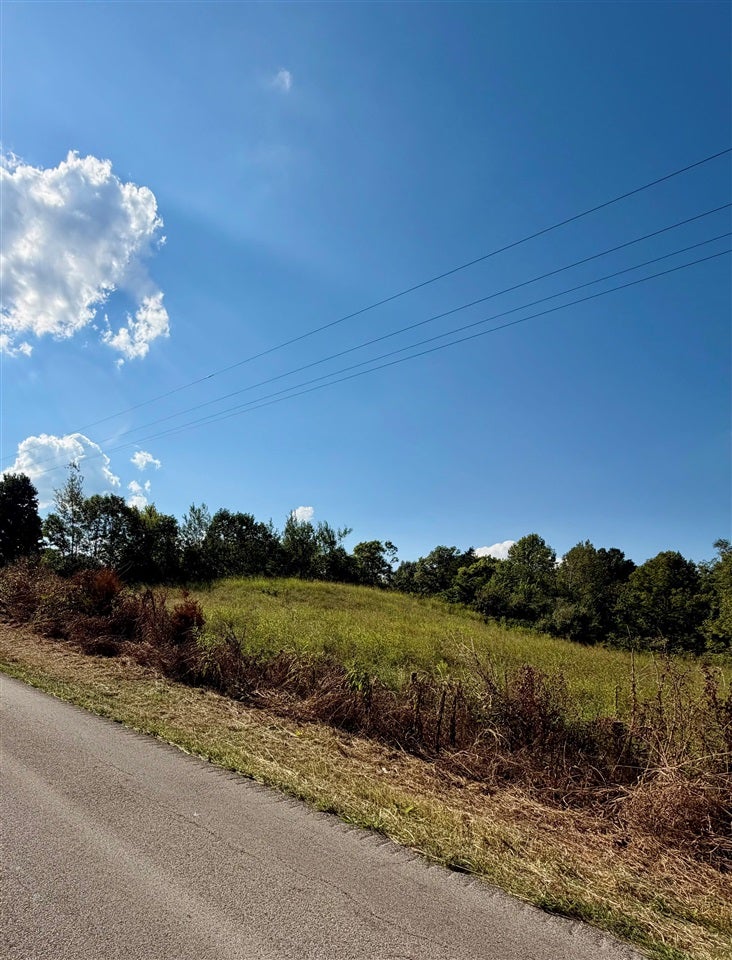 Lot 1 Lick Branch Road Glasgow, KY 42141 - Photo 1 of 1 Gallery Image 1