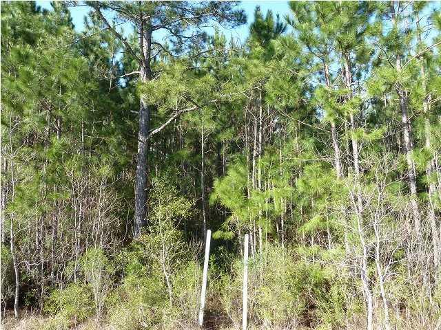 98 Santa Rosa Beach Santa Rosa Beach, FL 32459 - Photo 2 of 3 LOT3C