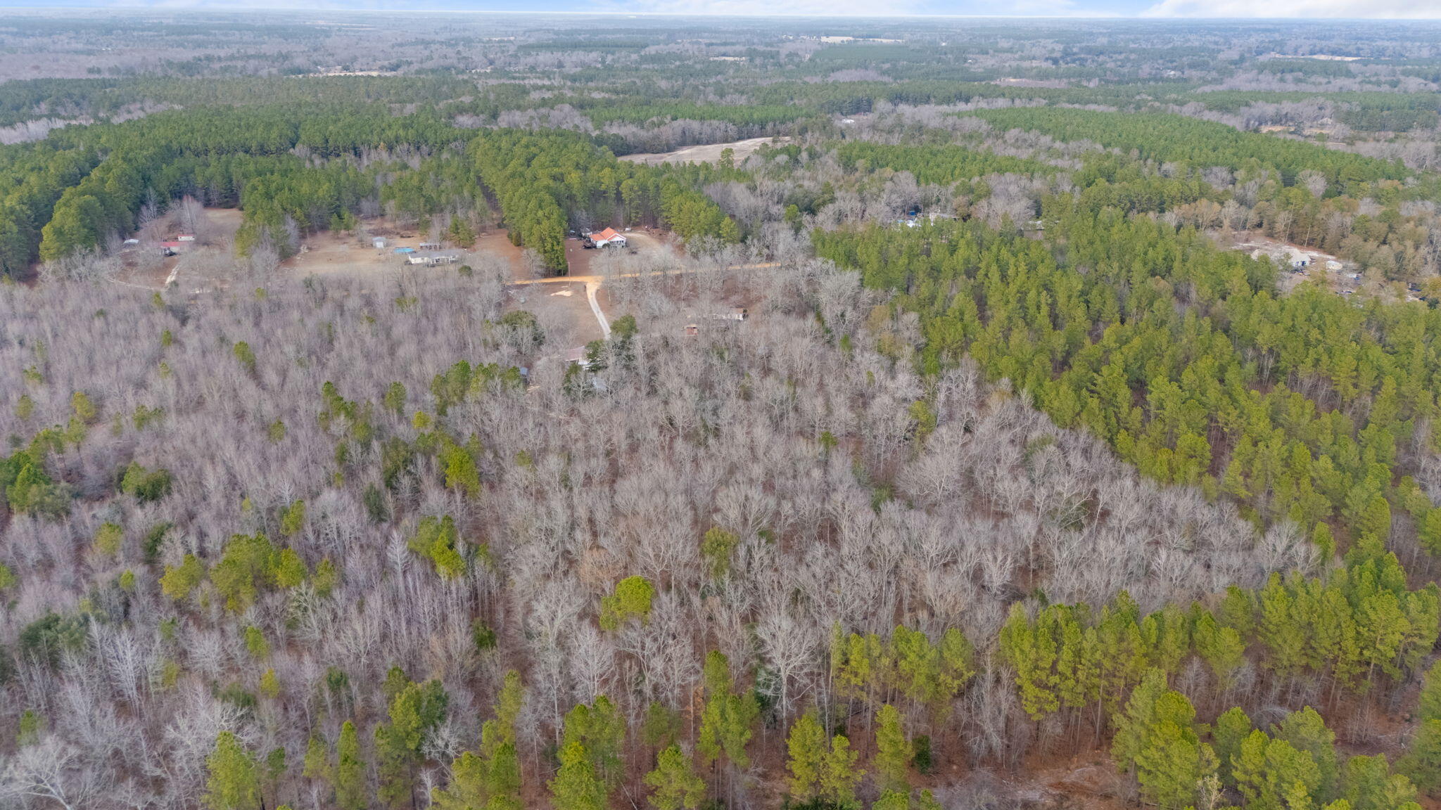 305 Hemlock Road Barnwell, SC 29812 - Photo 56 of 66