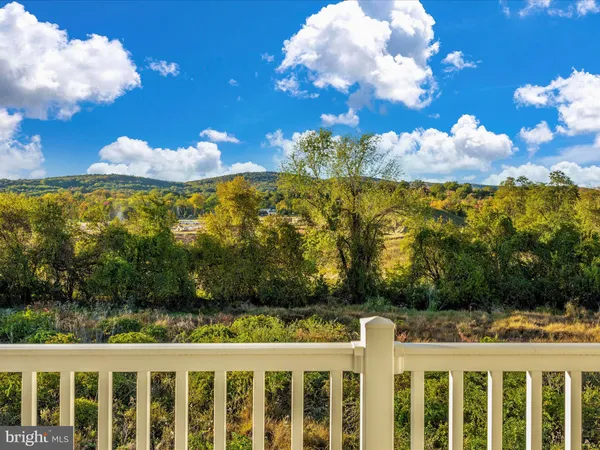 a view of a yard with flower plants