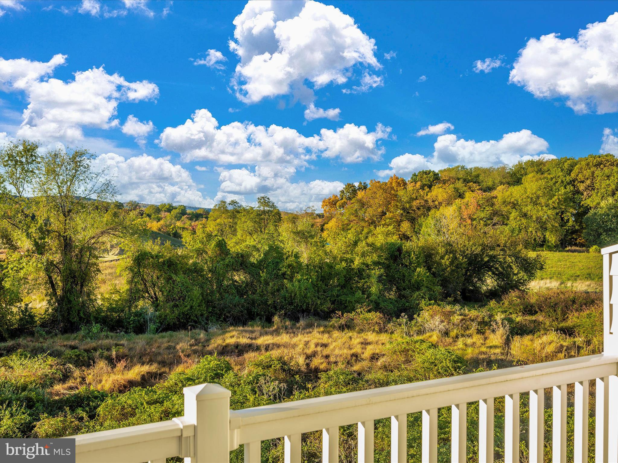 740 Tatum Court Frederick, MD 21702 - Photo 29 of 53 a view of a yard with flower plants